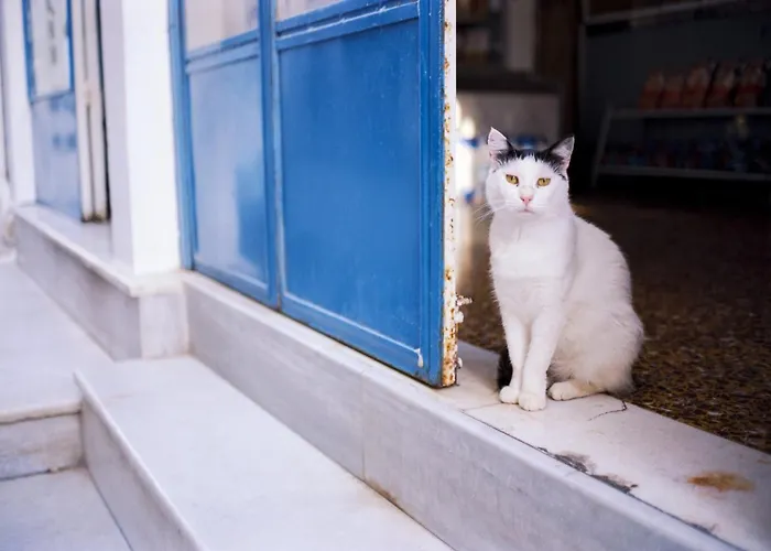 Modern & Comfortable Santorini 3 Bedrooms Aqua Private Pool Vila Karterados (Santorini)